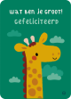 €1,25 Bora ansichtkaart Giraf Jungle - Wat ben je groot wenskaart verjaardagskaart postkaart kaart