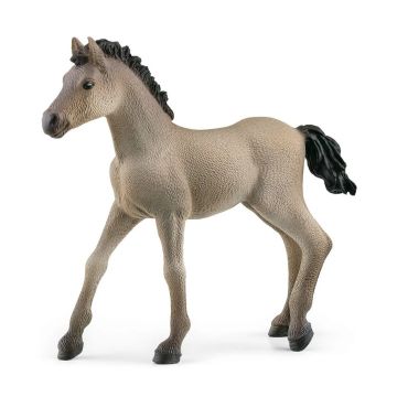 Schleich Criollo Definitivo veulen 8.3cm