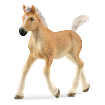 Schleich Haflinger veulen 