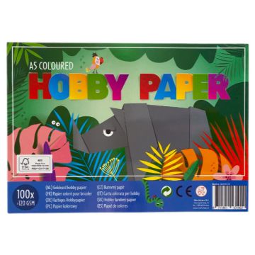 €2,94 Gekleurd hobby papier 100 stuks A5 knutsel vellen