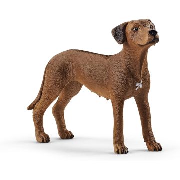 Schleich Rhodesische ridgeback 6.5cm