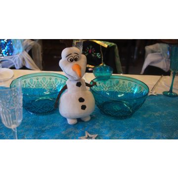 Themakist Frozen feestje bij Stadshoeve