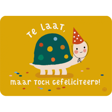 Bora ansichtkaart Schildpad Te Laat verjaardagskaart postkaart kaart wenskaart