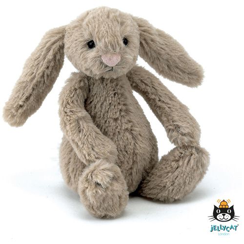 Gebeurt Motel lezer €12.49 Jellycat knuffel konijn 13cm (Bashful Bunny Baby) kraamcadeau Bezige  Bijtjezzz